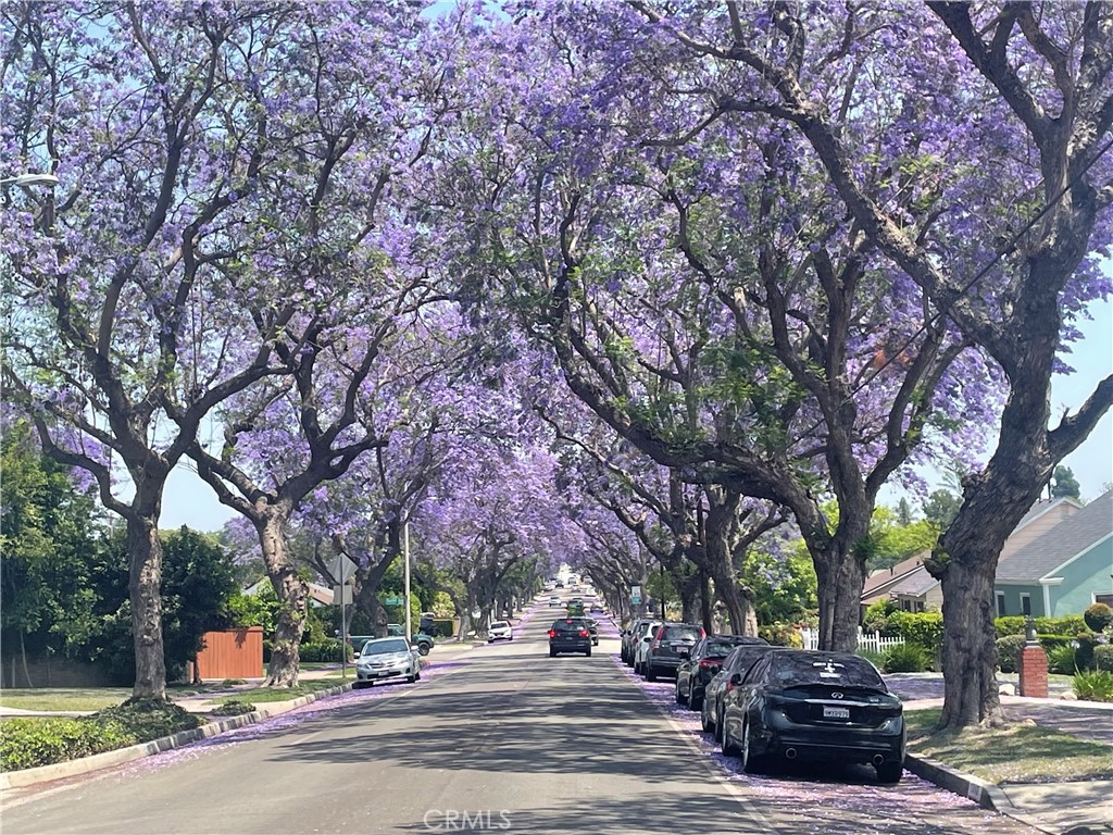 https://media.crmls.org/medias/9b93e444-9513-4cc6-96c8-46ecf30f81cf.jpg?preset=X-Large