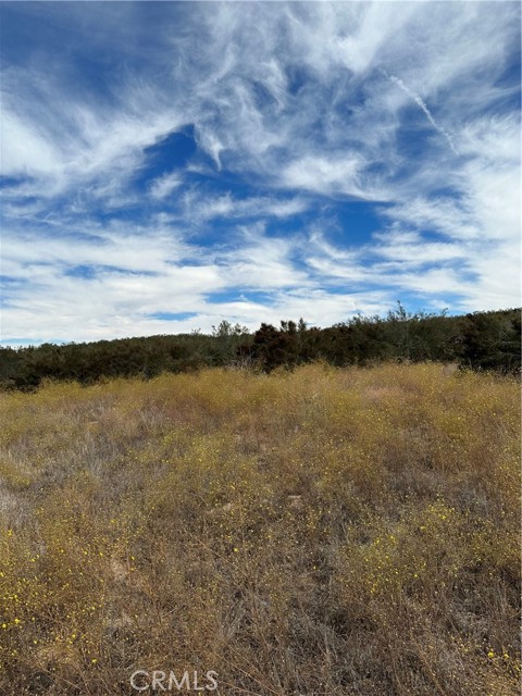 0 Sage & Red Mountain Road, Hemet, California 92544, ,Land,For Sale,0 Sage & Red Mountain Road,CRSW23180954