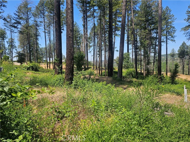 Detail Gallery Image 11 of 11 For 6649 Lincoln, Paradise,  CA 95969 - – Beds | – Baths