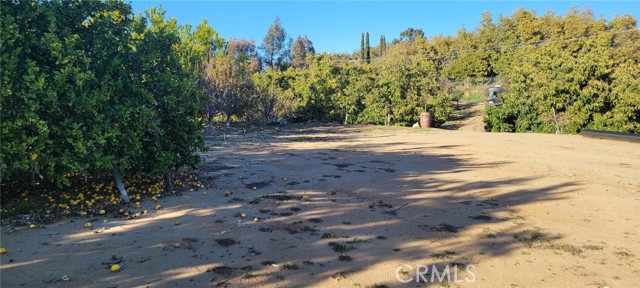 Front Image Thumbnail for CRSW26159683