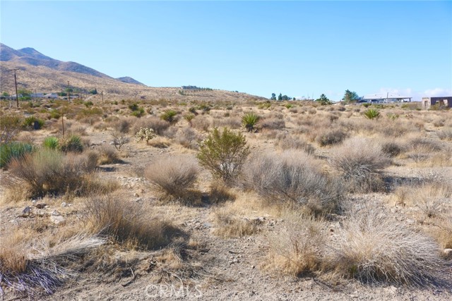 0 Juniper, Apple Valley CA: https://media.crmls.org/medias/9baf48bf-b293-4edc-b994-81a012f80846.jpg