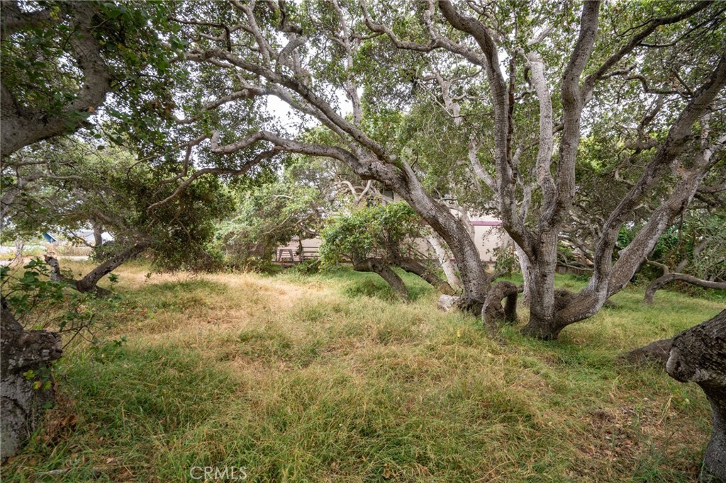 MLS #SC25145989 image #9