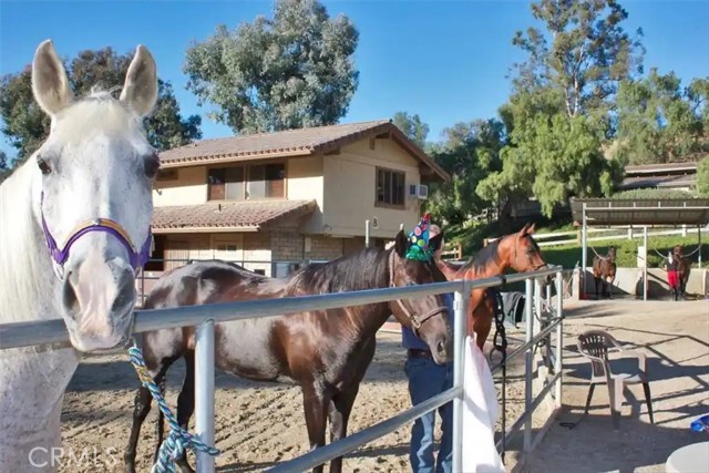 26622 Stetson Place, Laguna Hills CA: https://media.crmls.org/medias/9bb5c1be-4b9c-46ea-83c7-f90b68a851eb.jpg