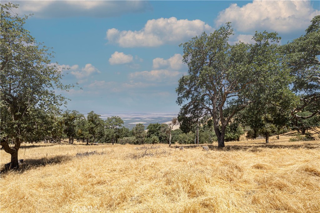 MLS #SR25172825 img 3