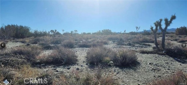 0 Smoke Tree Road, Pinon Hills, California 92372, ,Commercial Sale,For Sale,0 Smoke Tree Road,CRIV24188616
