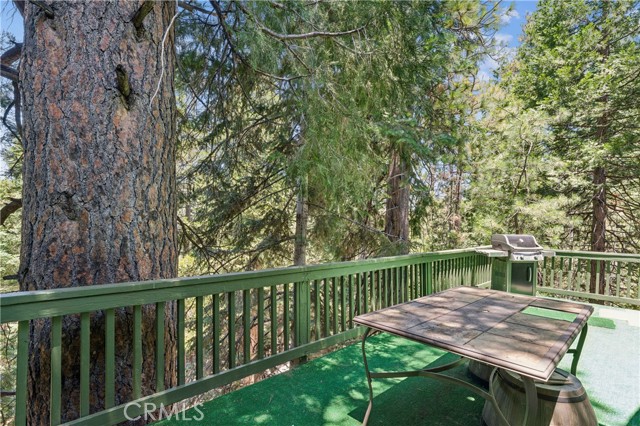 582 Grass Valley Ct, Lake Arrowhead, CA 92352 photo 31