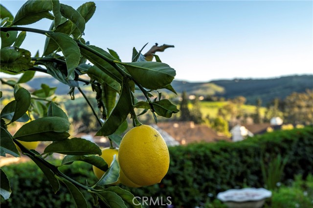 Detail Gallery Image 6 of 53 For 20 Southern Wood, Irvine,  CA 92603 - 3 Beds | 2 Baths