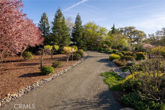 Detail Gallery Image 54 of 63 For 2985 Warm Springs Ln, Templeton,  CA 93465 - 4 Beds | 4/1 Baths