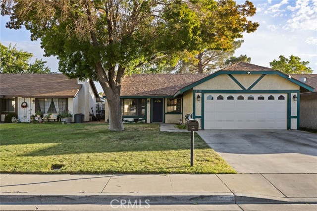 Front Image Thumbnail for CRSR26228603
