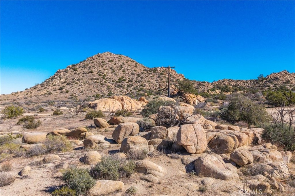 MLS #JT25250010 image #7