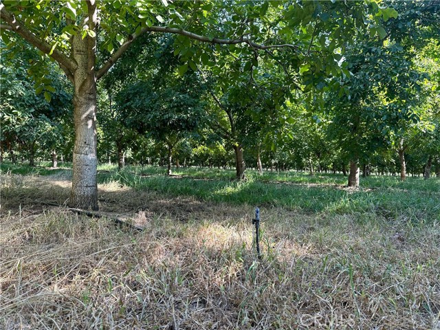 24365 Oklahoma Avenue, Red Bluff CA: https://media.crmls.org/medias/9bec54a4-875a-4e68-904f-3031ce8de941.jpg
