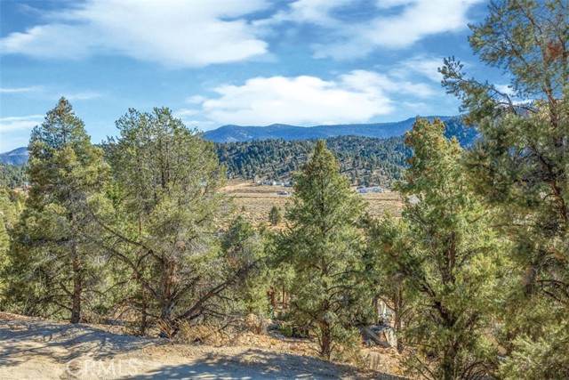 Detail Gallery Image 34 of 52 For 46340 Pelican Dr, Big Bear City,  CA 92314 - 2 Beds | 2 Baths