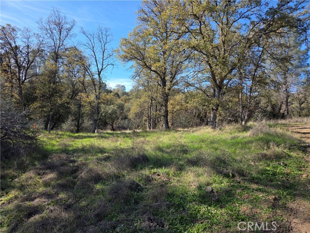 Detail Gallery Image 8 of 12 For 0 12.19 Ac Road 222, North Fork,  CA 93643 - – Beds | – Baths