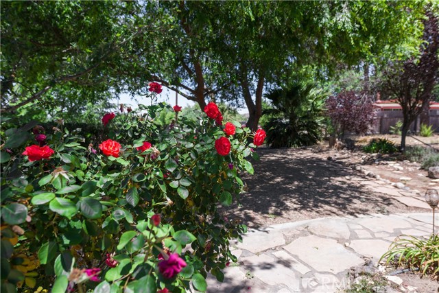9892 River Road, San Miguel CA: https://media.crmls.org/medias/9bf98cb7-026b-40cc-b2b2-9a8345dc1f75.jpg