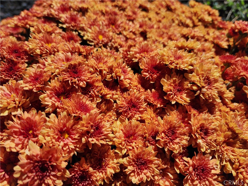 https://media.crmls.org/medias/9bfd7644-5a16-44a1-bf40-49a98be5f5bd.jpg?preset=X-Large