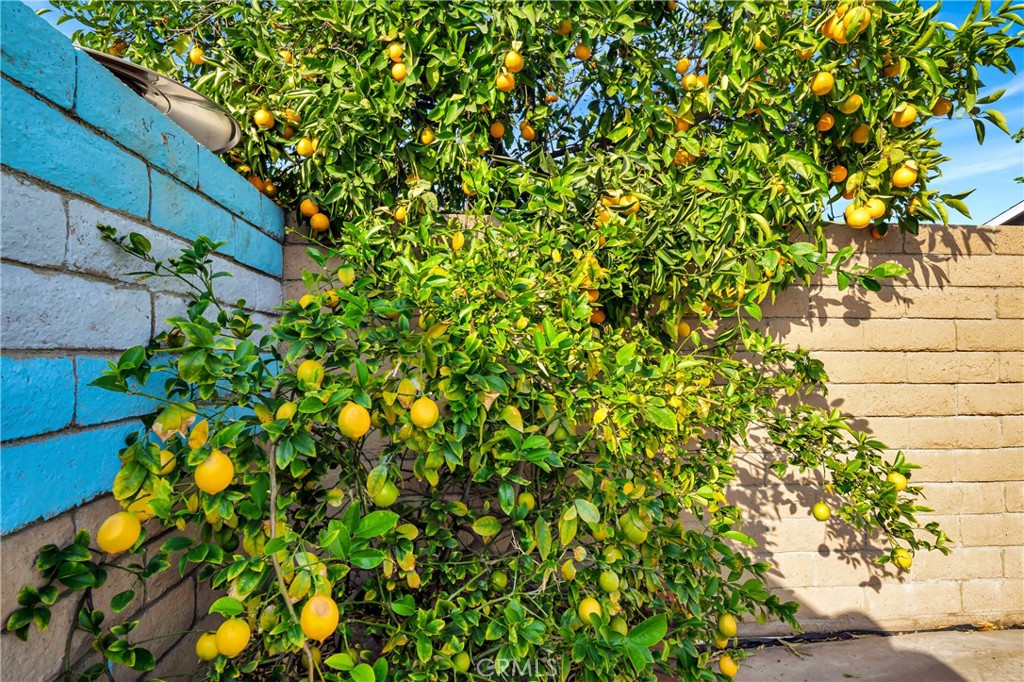 https://media.crmls.org/medias/9c062fcd-8a01-46d7-80b2-ae7fa4c95529.jpg?preset=X-Large