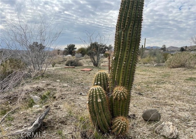 Detail Gallery Image 9 of 13 For 11040 Mescalero Ave, Morongo Valley,  CA 92256 - – Beds | – Baths