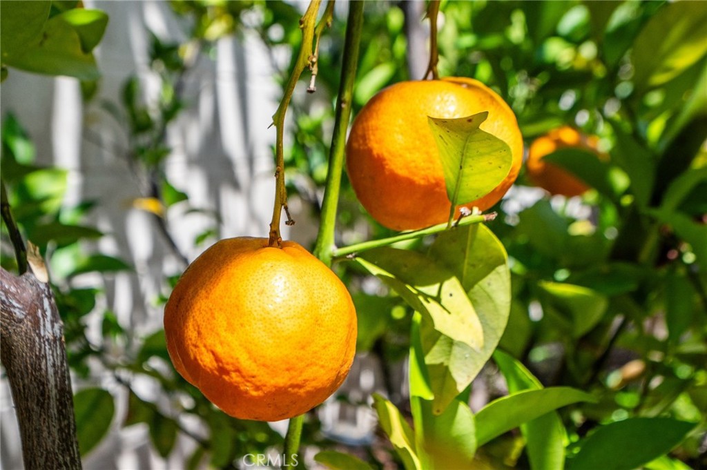 https://media.crmls.org/medias/9c092e38-0438-4a5c-ab25-04db7ccb9cc6.jpg?preset=X-Large
