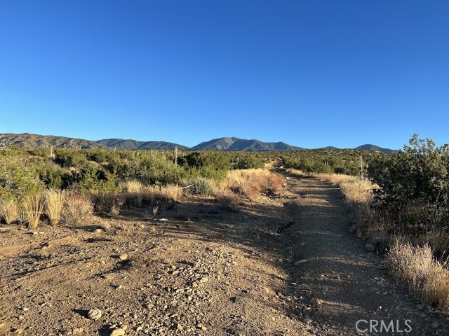 Detail Gallery Image 45 of 75 For 0 Vac/Vic Avenue Z/Vic 195 Ste, Llano,  CA 93544 - – Beds | – Baths