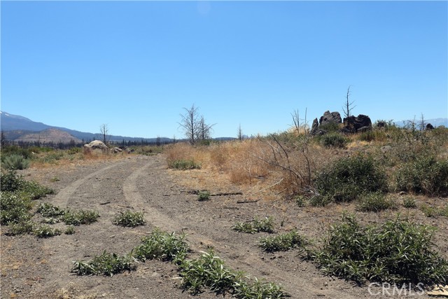 Detail Gallery Image 11 of 15 For 0 Juniper Valley Dr, Weed,  CA 96094 - – Beds | – Baths