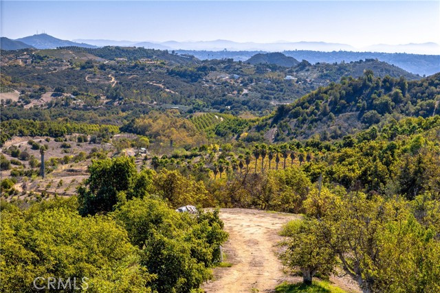 Front Image Thumbnail for CRSW25250634