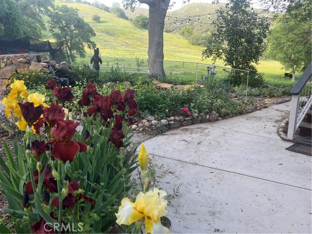 29503 Spence Lane, Tollhouse CA: https://media.crmls.org/medias/9c0d5fdc-2df1-4b98-86dd-8317b323a116.jpg
