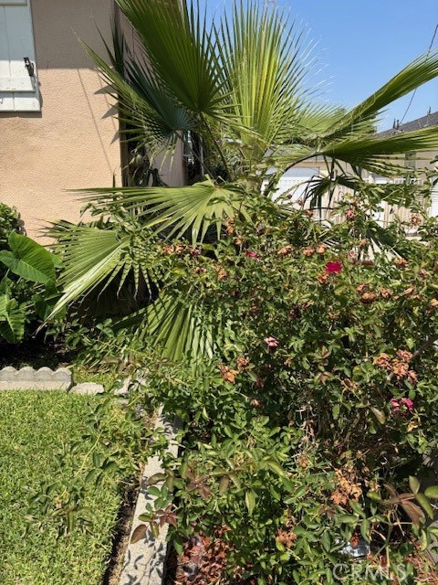 Detail Gallery Image 9 of 23 For 10847 La Mirada Bld, Whittier,  CA 90604 - – Beds | – Baths