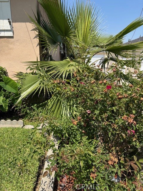 MLS #PW25159643 image #8