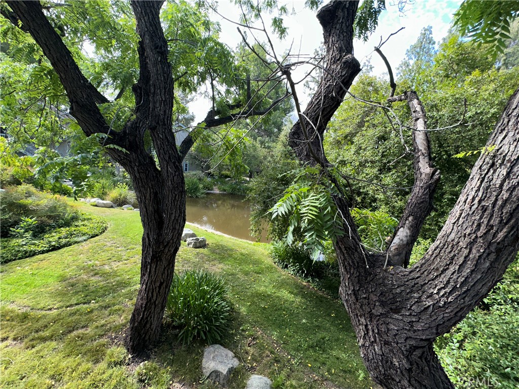 https://media.crmls.org/medias/9c195474-6415-4e34-810a-413e5ed78841.jpg?preset=X-Large