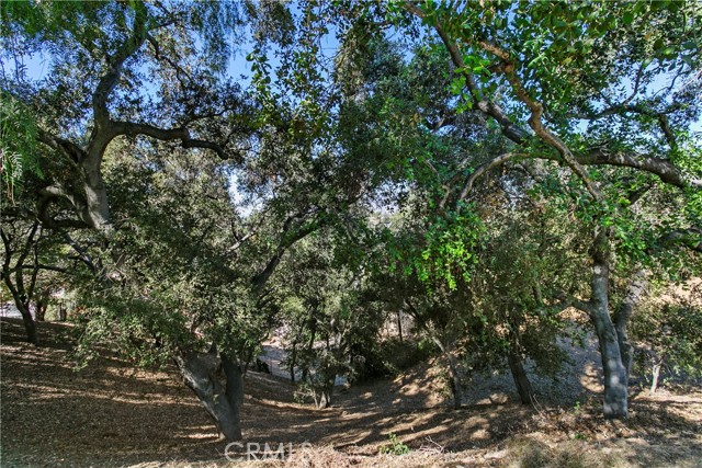 Detail Gallery Image 48 of 71 For 3305 Rancho Rio Bonita Rd, Covina,  CA 91724 - 3 Beds | 2/1 Baths