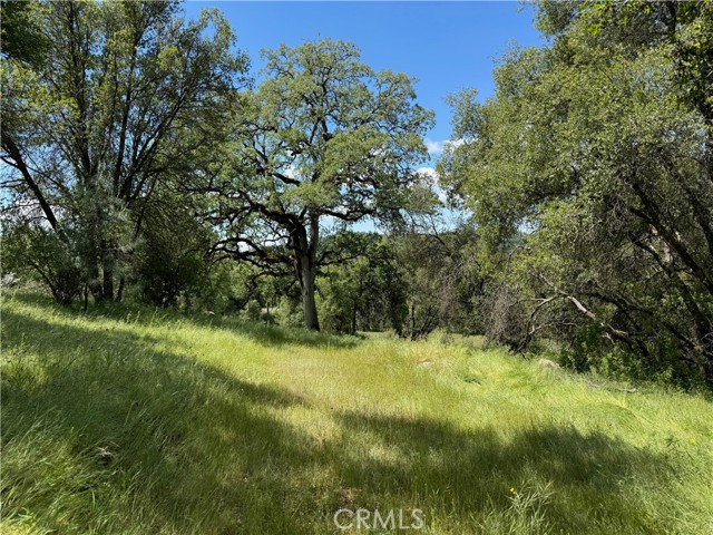 4516 Hirsch Road, Mariposa CA: https://media.crmls.org/medias/9c1a2e33-6599-480b-b903-9b14a2e08dc9.jpg