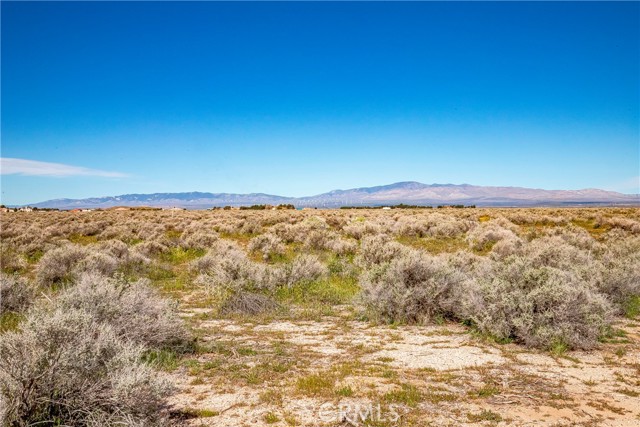 Detail Gallery Image 8 of 12 For 0 Avenue C-8, Antelope Acres,  CA 93536 - – Beds | – Baths