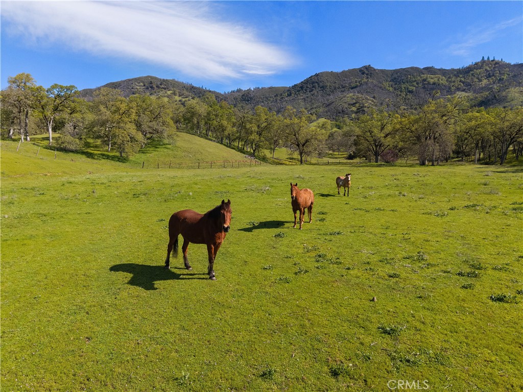https://media.crmls.org/medias/9c262d52-e381-4692-bc2a-b5b2b8175125.jpg?preset=X-Large
