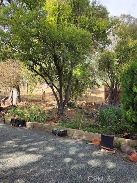 600 6th Street, Lakeport CA: https://media.crmls.org/medias/9c2bc551-4eca-4bb8-8de3-d2e4295747e8.jpg