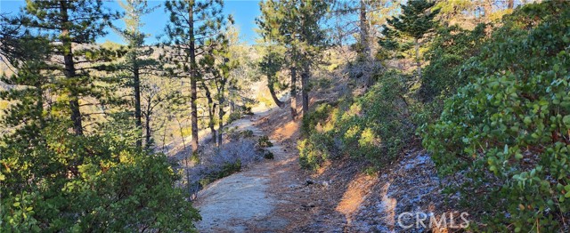 Image 5 of 10 For 0 Crest Drive