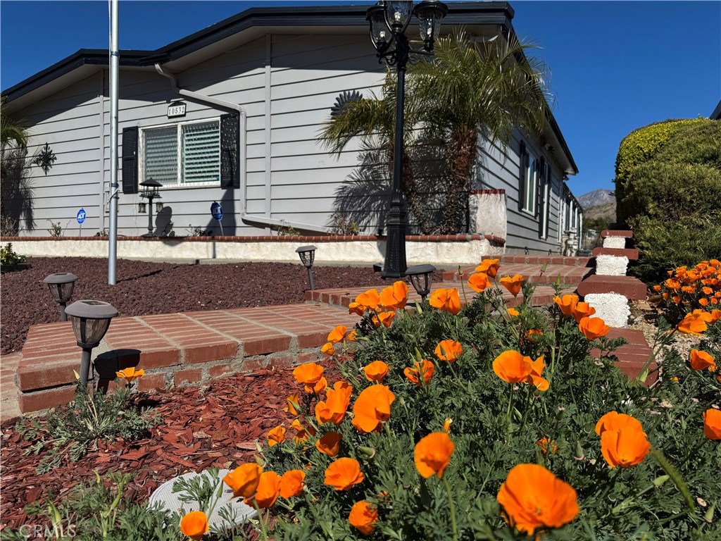 10532 Frontier Trail