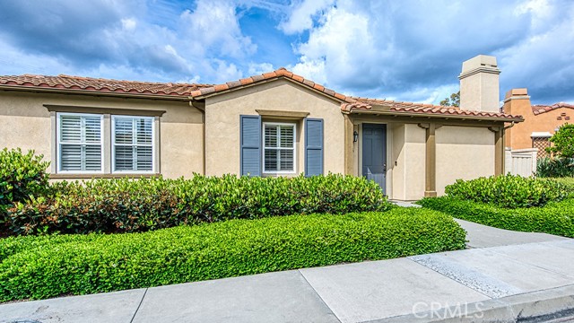 Front Image Thumbnail for CROC26085849