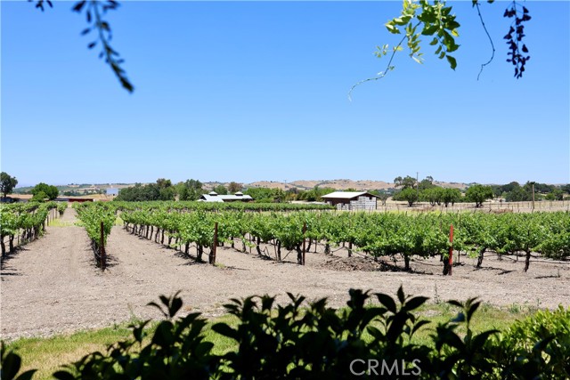 5575 El Pomar Drive, Templeton CA: https://media.crmls.org/medias/9c41a9f9-98b5-495d-8423-ad5f8c52e7de.jpg