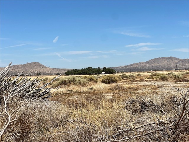 125 STE VIC AVE, Lancaster CA: https://media.crmls.org/medias/9c45ac2e-a58c-4c3c-805f-11b22559c68c.jpg
