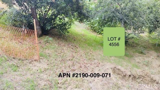 Front Image Thumbnail for CRSR26024159