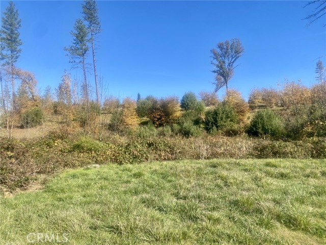 Detail Gallery Image 2 of 10 For 1865 Paige, Paradise,  CA 95969 - – Beds | – Baths