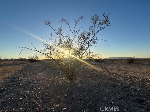 81100 Pipeline Road, 29 Palms CA: https://media.crmls.org/medias/9c496336-9da4-4bb7-8cd1-f5f78d3ab0f4.jpg