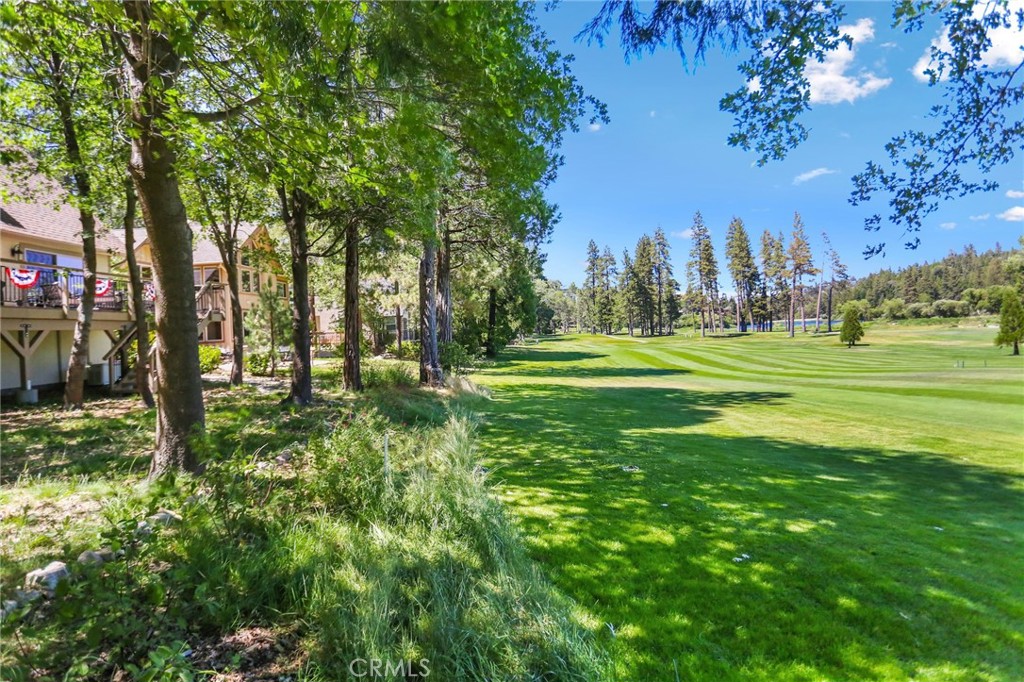 435 Riviera Drive