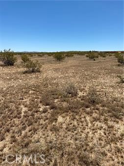 MLS #JT24081039 image #3