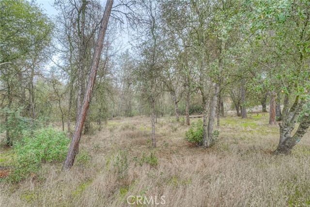 Detail Gallery Image 57 of 58 For 2950 Foothill Blvd, Oroville,  CA 95966 - 3 Beds | 3 Baths