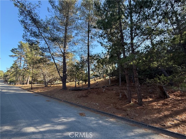 Detail Gallery Image 5 of 6 For 1955 Avon Ave, Cambria,  CA 93428 - – Beds | – Baths