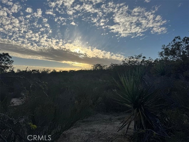 0 Springbrook Trail, Anza CA: https://media.crmls.org/medias/9c52e21a-49db-474b-af2b-4e7c1f3254bc.jpg