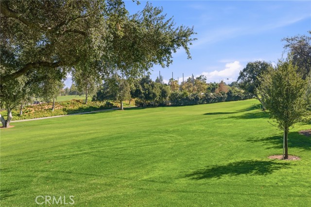 Detail Gallery Image 60 of 61 For 1805 Canyon Rd, Redlands,  CA 92373 - 4 Beds | 2/1 Baths