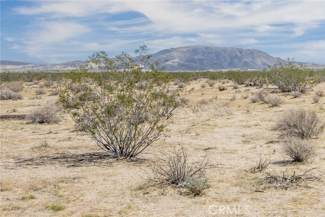 64532 Chollita Road, Joshua Tree, California 92252, ,Land,For Sale,64532 Chollita Road,CRJT23175359