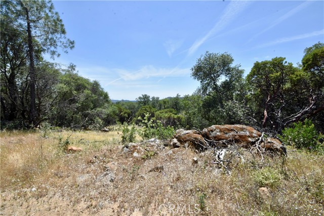 0 Mackey Court, Oroville CA: https://media.crmls.org/medias/9c6619a6-38bf-4b9e-84c1-a6294394376f.jpg